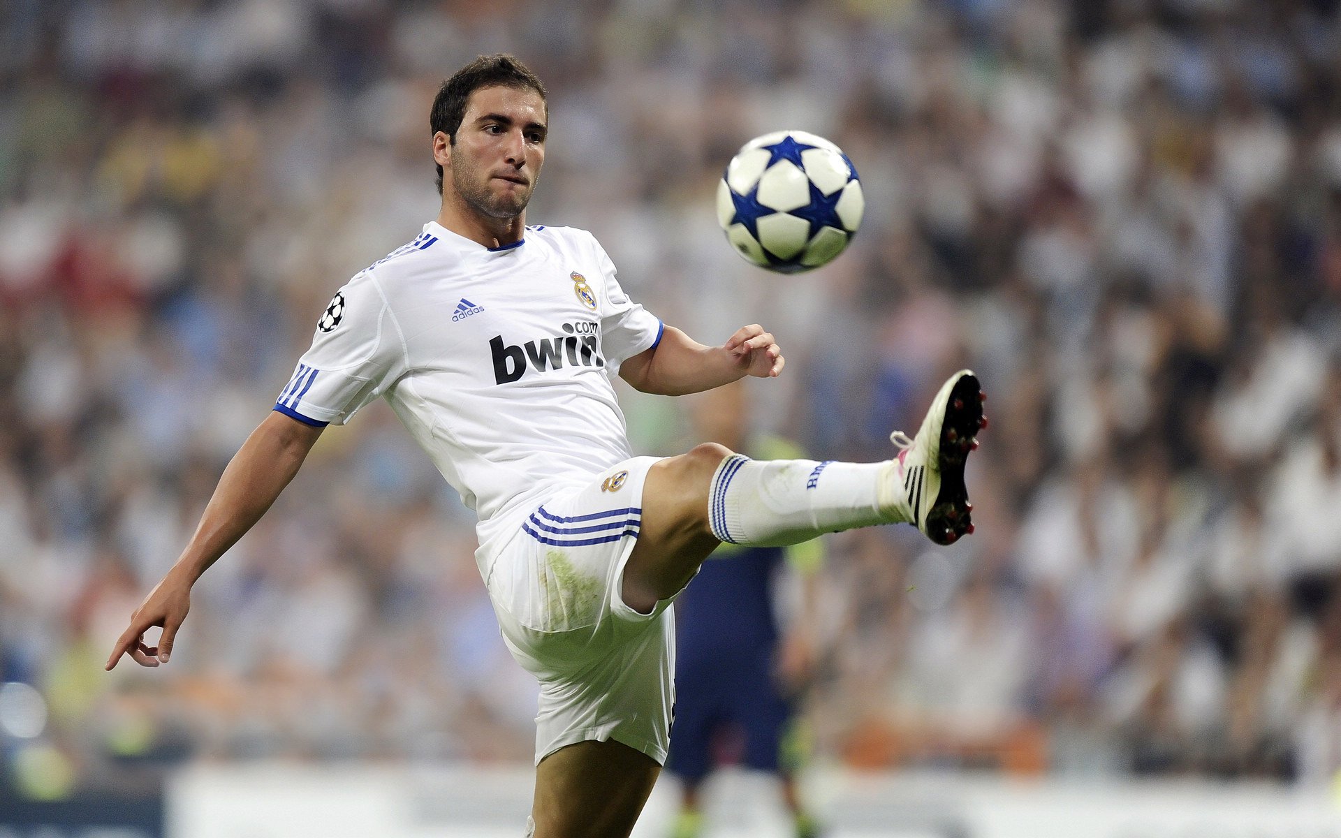 场馆升级改造完成新引入灯光与音响系统提升赛事氛围,场馆建设